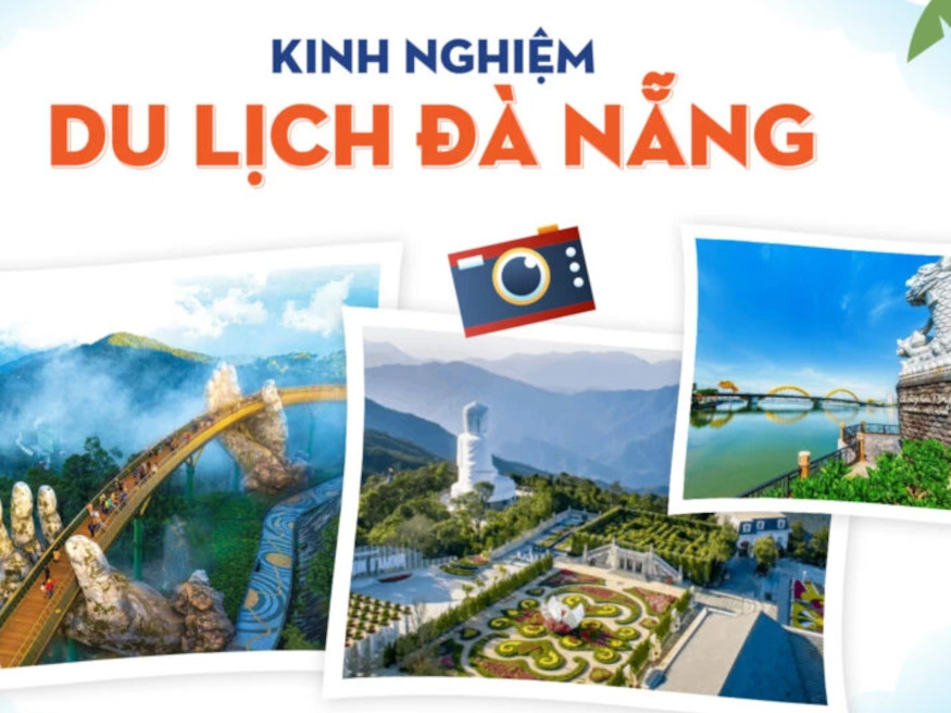 전기 오토바이를 이용한 다낭 미식 탐방 트렌드: 지난 24시간 동안의 서비스 및 혜택 요약